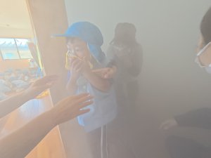 81019.JPG