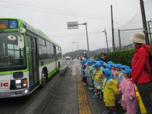 81063.JPG