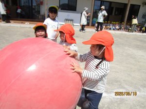 8543.JPG