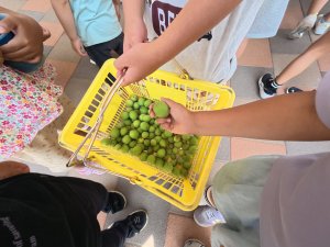 8620.JPG