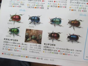 8822.JPG